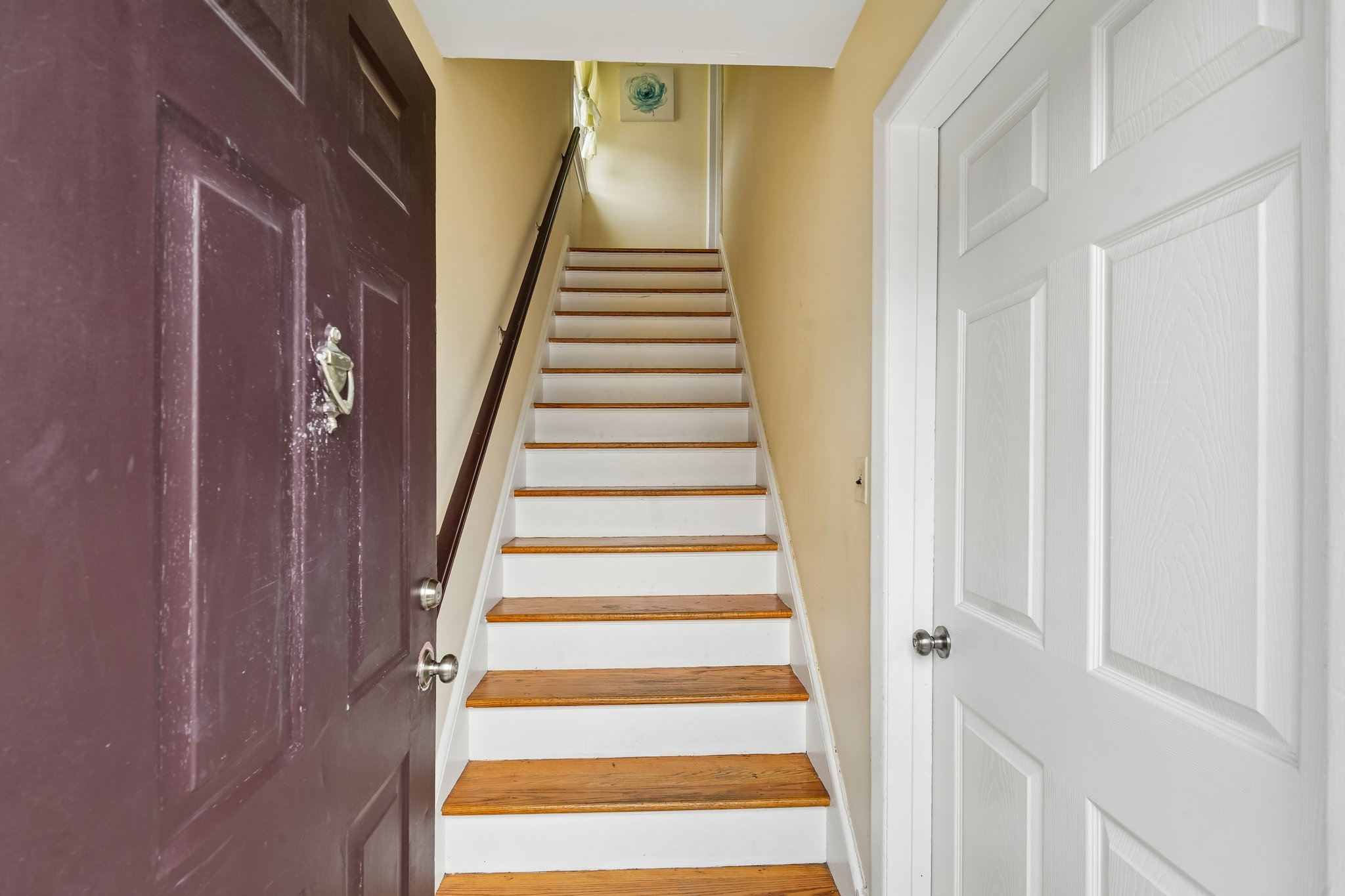 2-web-or-mls-IMG00938