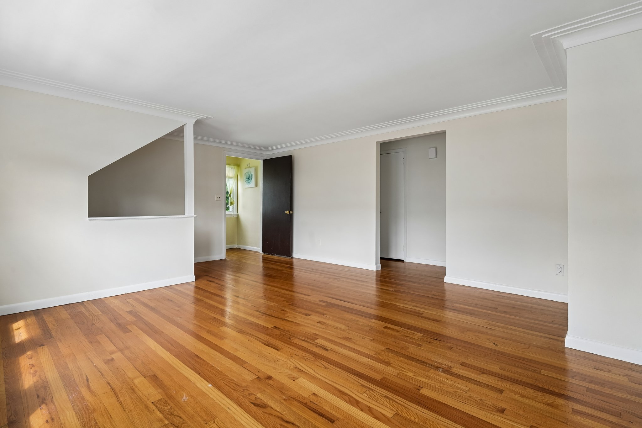4-web-or-mls-IMG00959