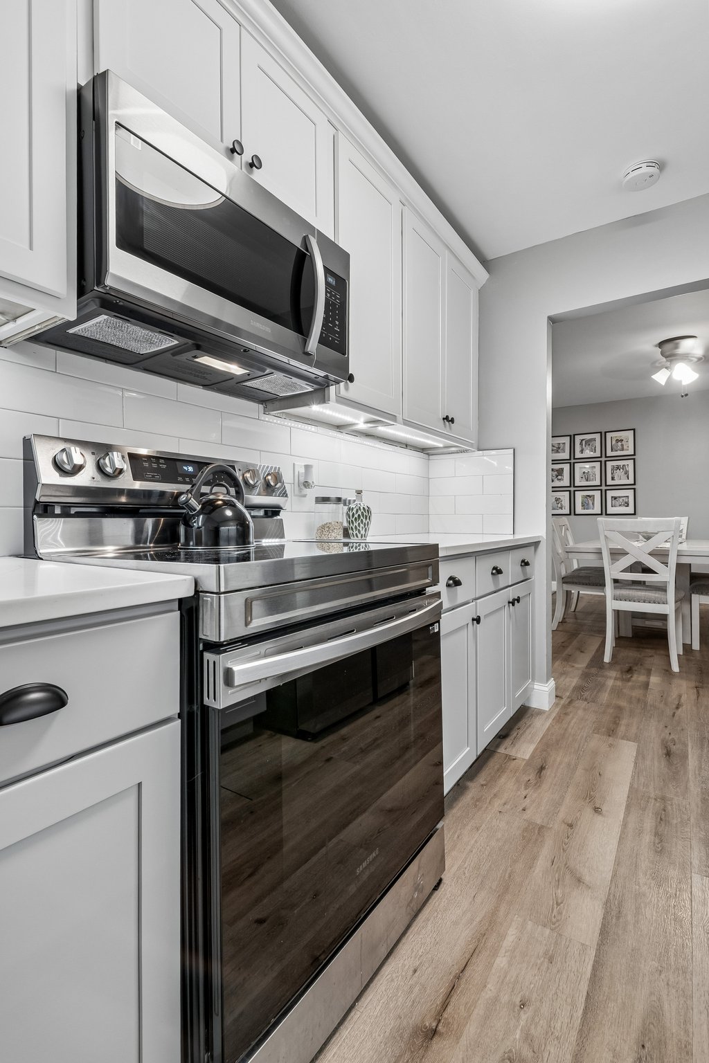 33-web-or-mls-P8270340